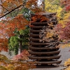 TANZAN 神社・藤原鎌足と紅葉〜珍しい十三重塔