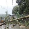 台風の被害少ないよう