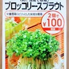 ついでに買った「ブロッコリースプラウト」を栽培します。水だけで育つので誰でも簡単にできます