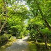 【京都】『浄住寺』の特別公開に行ってきました。 女子旅 京都観光