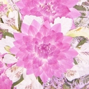 押し花フルール・ねっと in大阪