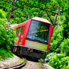 紫陽花と登山電車②