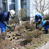 新潟３工場で植え付けを行いました