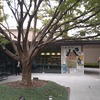 2024/10/26 泉屋博古館東京「特別展 オタケ・インパクト 越堂・竹坡・国観、尾竹三兄弟の日本画アナキズム」