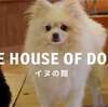【富士サファリパーク＊犬の館】3歳未満でも楽しめる？【冬の混雑状況】