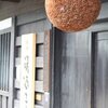 またまた、熱帯夜