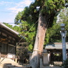 榊山神社手水舎