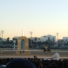 ラッキーの厳選穴馬★21/10/14（木）門別11Rエーデルワイス賞G3(1番アマクミナイデヨ)、中央馬全外しで万馬券を狙う☆☆