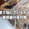 鳥の巣で悩んでいる方必見！屋根屋の鳥対策。