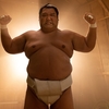 SUMO