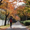 【写真いっぱい日記】江東区を歩く