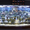 ドコモ東海、名古屋港水族館ライブコーラル水槽LED照明の一部寄付