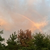 空を見上げれる事が嬉しい🌈
