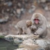 スーパー銭湯に平日に行けるといいね