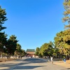 お散歩日記〜平安神宮から南禅寺