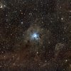 ＮＧＣ７０２３：ケフェウス座の散光星雲（アイリス星雲）