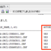 【Oracle】表領域のオートエクステント(自動拡張)設定を確認する