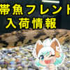 【入荷情報】熱帯魚フレンド入荷情報