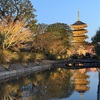 【京都東寺2026🌙月回廊へ】