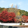 「法泉寺」