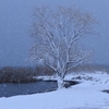 湖岸降雪　①