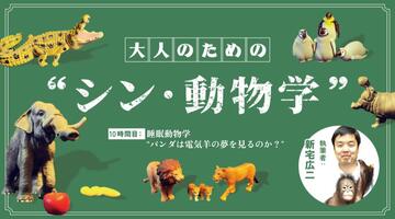 新宅広二｜10時間目：睡眠動物学　“パンダは電気羊の夢を見るか？”【大人のための“シン・動物学”】