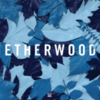  Etherwood / Blue Leaves