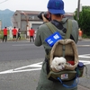 お疲れ気味の月曜日。