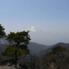 山の記録　１６) 清八山・本社ヶ丸　1630m