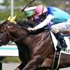 指名馬情報:牡馬第8位【画像複数有り】