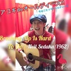 アコギdeオールディーズ!!解説☆2019.01.11更新 Breaking Up Is Hard To Do