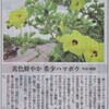   hinachan と一緒にお花を見物に 