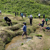 2023年5月7日に行われる千枚田田植えボランティア大募集中♪（申込締切：2023年4月28日）