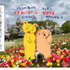 純粋なお花見～大宮花の丘農林公苑