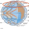 【気象学勉強】第52回 地球大気の大循環④～フェレル循環と偏西風～
