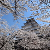 歴史と風情を感じる、福島県の「城跡の桜」8選