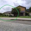 「猫の写真館」？　①