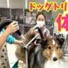 3月8日の動画