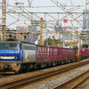 3月25日撮影　東海道線　平塚～大磯間　③　貨物列車　5075ㇾ　3075ㇾ