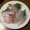 おとうさん、小豆島の魚が食べたい。 まかさんかい、なんぼでも食わしてやると(笑み)