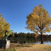 水元公園にて