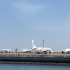 シニアの散歩☆桜は咲き始めた？ご近所探訪