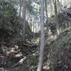 青梅の山々を抜けまして。