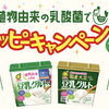 マルサンアイ｜植物由来の乳酸菌でハッピーキャンペーン