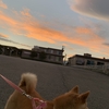 夕焼けと朝の光