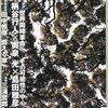 鼎談「世界同時革命----その可能性の中心」柄谷行人×奥泉光×島田雅彦