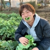 一番美味しい野菜「のらぼう菜」江戸東京野菜