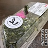 どんどん名物わかめむすび