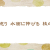 お城まつり　【晩春の俳句】