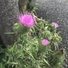現代における報道写真の意味２